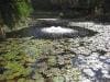 brisbane_australia_186