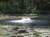 brisbane_australia_187