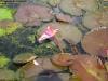 brisbane_australia_190