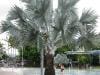 cairns_australia_009