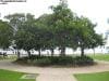 cairns_australia_010