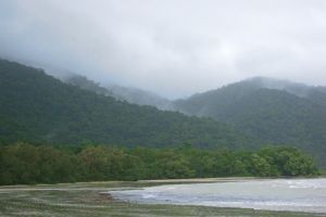 Cape Tribulation und Daintree River, Palm Cove