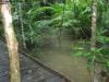 cape-tribulation_010