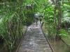 cape-tribulation_011