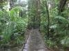 cape-tribulation_012