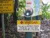 cape-tribulation_018