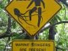 cape-tribulation_019