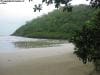 cape-tribulation_023