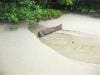 cape-tribulation_025
