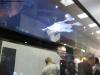 cebit_2013_47