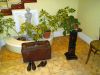 city-art-hotel-silberstein_quito_11