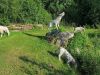 sommertour-2020-dienstl-gut_28