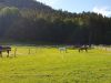 sommertour-2020-dienstl-gut_37