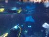 diving_rovinj_10