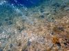 diving_rovinj_11