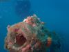 diving_rovinj_15