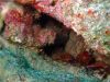 diving_rovinj_31