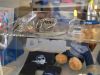 dtm_2014_31
