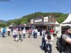 dtm16_redbullring_73
