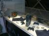 gamecity2012_36