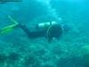 great_barrier_reef_004