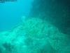 great_barrier_reef_006