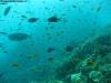 great_barrier_reef_009