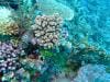 great_barrier_reef_014