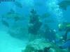 great_barrier_reef_027