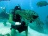 great_barrier_reef_028