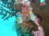 great_barrier_reef_043
