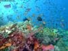 great_barrier_reef_050