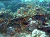 great_barrier_reef_052