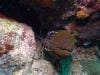 great_barrier_reef_069