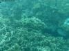 great_barrier_reef_079