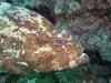 great_barrier_reef_080