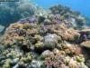 great_barrier_reef_092