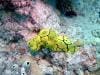 great_barrier_reef_095