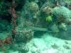great_barrier_reef_103