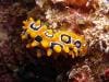 great_barrier_reef_109