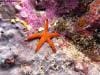 great_barrier_reef_111