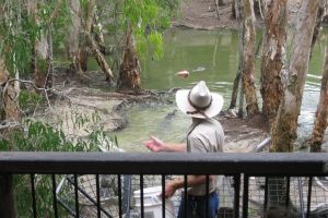 Hartley's Crocodile Adventures, Cairns