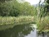 hartleys_crocodile_adventures_002