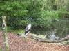 hartleys_crocodile_adventures_007