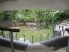 hartleys_crocodile_adventures_012
