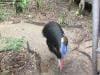 hartleys_crocodile_adventures_015
