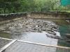 hartleys_crocodile_adventures_020
