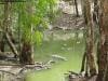 hartleys_crocodile_adventures_024