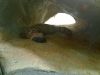 haus_des_meeres_05
