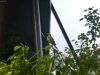 haus_des_meeres_23
